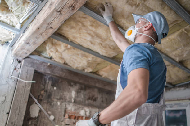 Best Blown-in Insulation  in Brentwood, NY