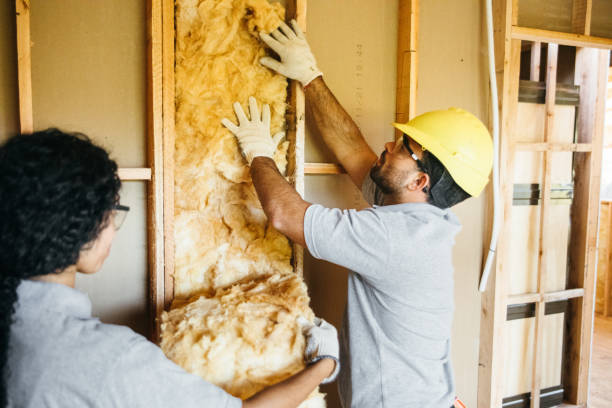 Best Cellulose Insulation  in Brentwood, NY